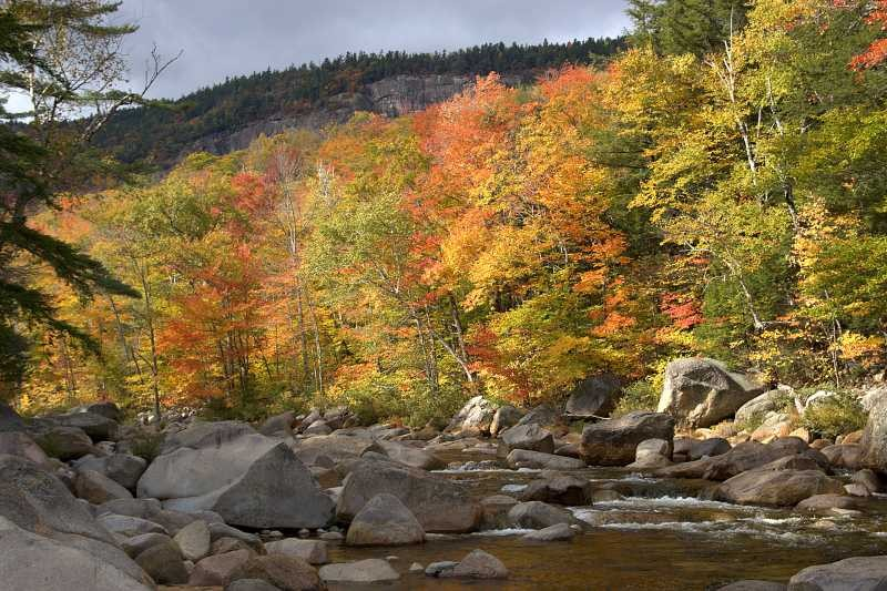 Illustration for article titled The 6 Seasons of Maine